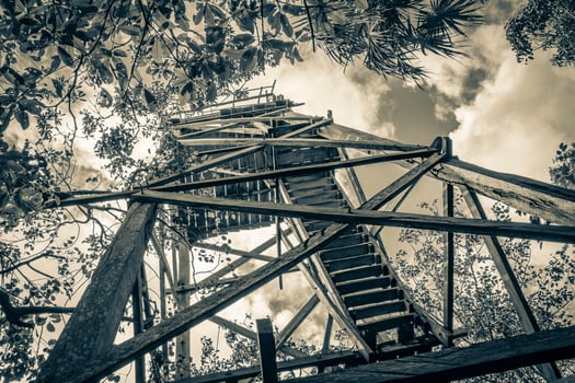Wooden viewpoint tower tropical jungle to Muyil Lagoon panorama Mexico. photo