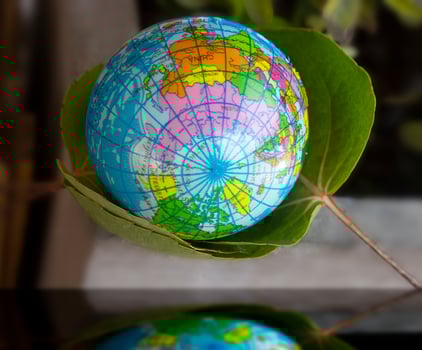 To save the world, to wrap the world with leaves. photo