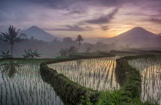 Sunrise view with the background of Mount Sumbing and Sindoro photo