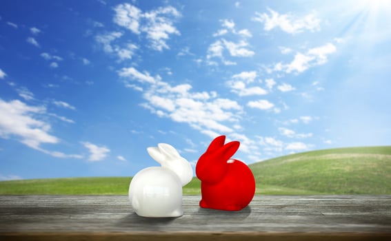 Funny Easter bunny. Happy Easter holiday concept. photo