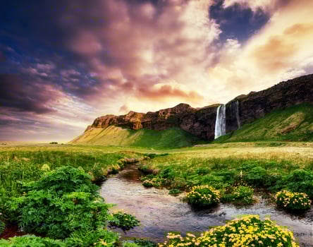 The picturesque landscapes forests and mountains of Iceland. photo