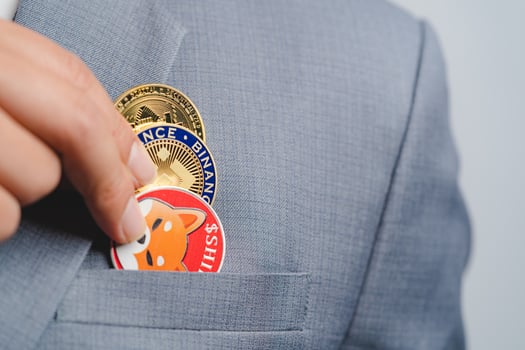 Golden bitcoin coin Shiba coin , Binance Coin BNB group included with Cryptocurrency hand picked in suit bag business man wearing a blue suit. Filed and put and give to me. Close up and Macro. photo