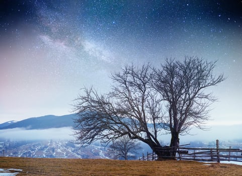 starry sky in winter snowy night. fantastic milky way photo