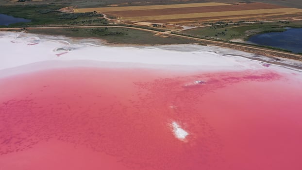 aerial view to pink lake with salt shore with little islands with copy space in Ukraine photo