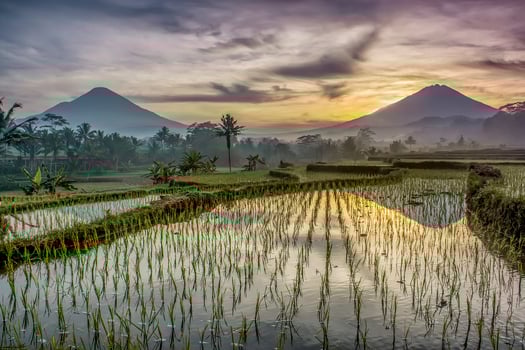 Stunning summer sunrise. Colorful morning scene with the first rays of the sun shining on hills and valleys. Beauty of nature concept background. Post-processed artistic style. photo