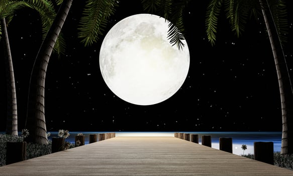 Full moon night, many stars fill the sky. A wooden bridge extends down to the sea or the pier, with coconut trees along the way. Romantic scene by the sea on a full moon wooden bridge. 3D rendering. photo