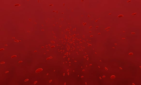 Red blood cells moving in blood vessel . 3D rendering. use for background and wallpaper photo