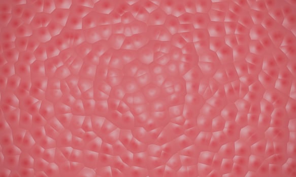 The enlarged image of the living skin model. Pink macro skin cells for use as wallpaper or background. 3D Rendering photo