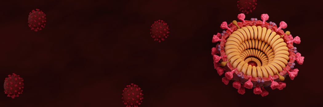 Cut in half and inside virus.  Pathogen respiratory influenza covid virus cells. New official name for Coronavirus disease named COVID-19. 3D Rendering. photo