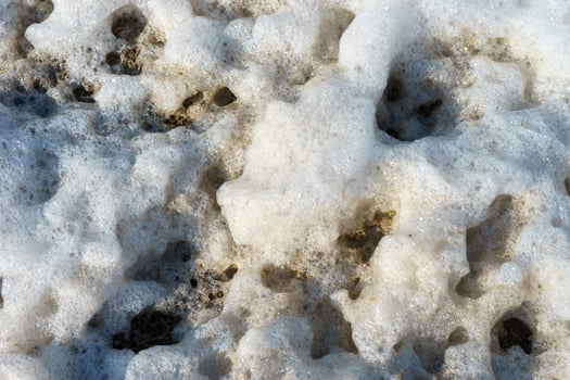 Natural textured background of white foam photo