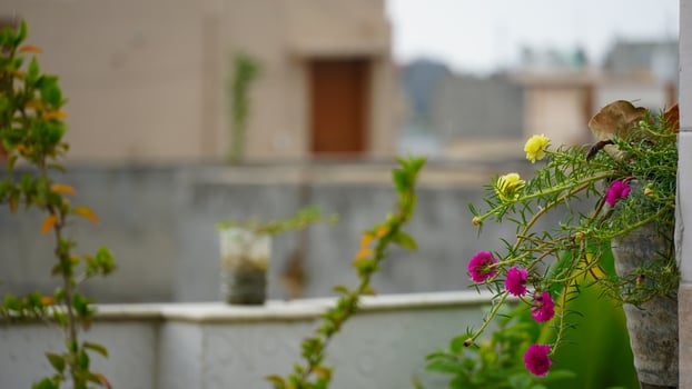 Beautiful Home Background with Flowers photo