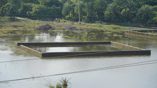 flood in bihar or assam image photo