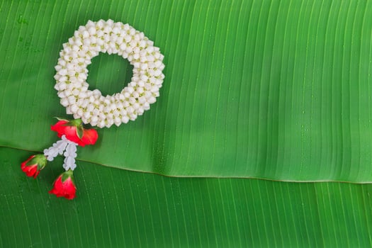 Songkran Festival background with jasmine garland on green banana leaf background photo