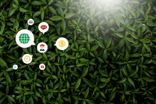 Creative style made of flowers and leaves with notes lying flat on the concept of nature. And technology. Get involved And to do business online. photo