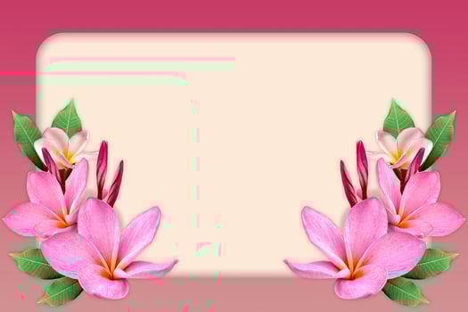 Empty white paper blank on Pink Plumeria flower frame. photo