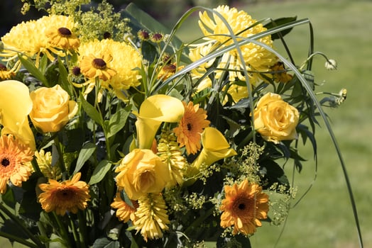 Yellow flowers in a vase on a garden table photo