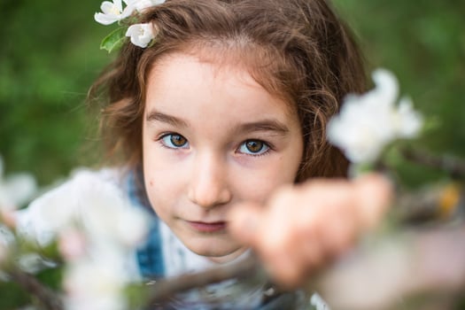 A cute little girl of 5 years old in a blooming white apple orchard in spring. Springtime, orchard, flowering, allergy, spring fragrance, tenderness, caring for nature. Portrait photo