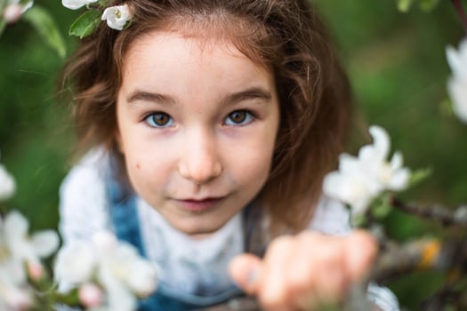 A cute little girl of 5 years old in a blooming white apple orchard in spring. Springtime, orchard, flowering, allergy, spring fragrance, tenderness, caring for nature. Portrait photo