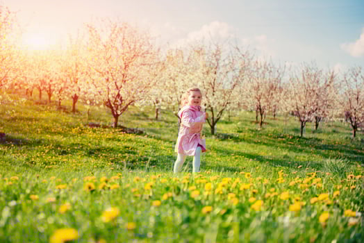 Child running outdoors blossom trees. photo