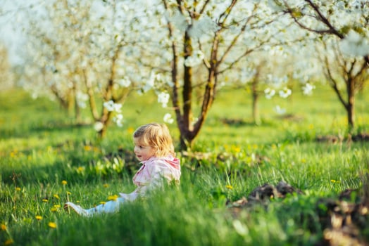 Little baby girl 3 years, that runs between flowering trees outd photo