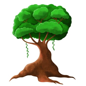 Isolated green tree on white background. Single tropical tree in illustrative photo