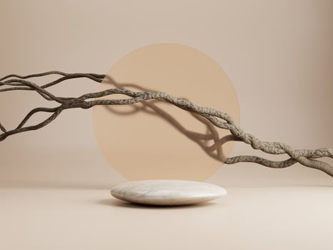 3d minimal pebble display podium with round glass and dried vine on beige background. 3d rendering of abstract presentation for product advertising. 3d minimal illustration. photo