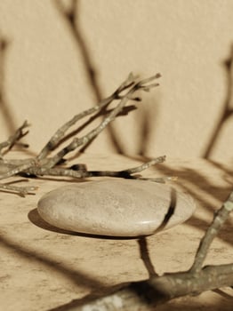 3d minimal pebble display podiums with dried tree branches and shadow on beige background. 3d rendering of abstract presentation for product advertising. 3d minimal illustration. photo