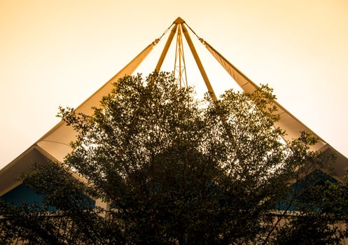 The modern building behide trees photo