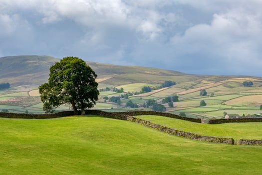 View of the rolling hills in the Yorkshire Dales National Park near Hawes photo