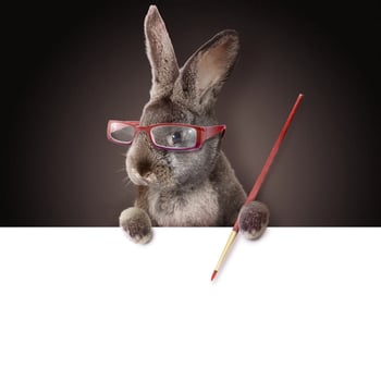 Funny Easter bunny. Happy Easter holiday concept. photo