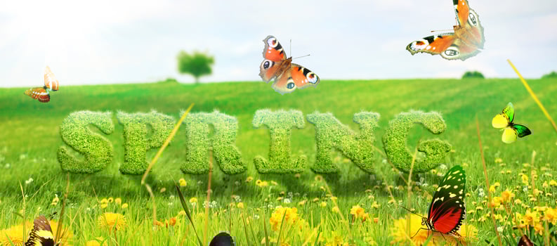 Spring and summer panorama with word spring. photo