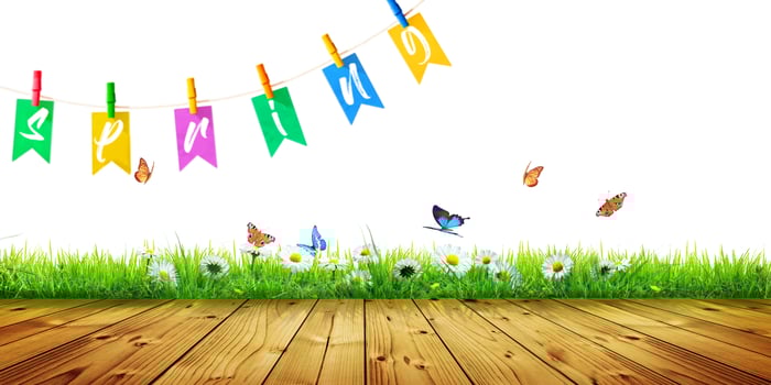 Flowers and herbs with word spring. Creative floral composition. photo