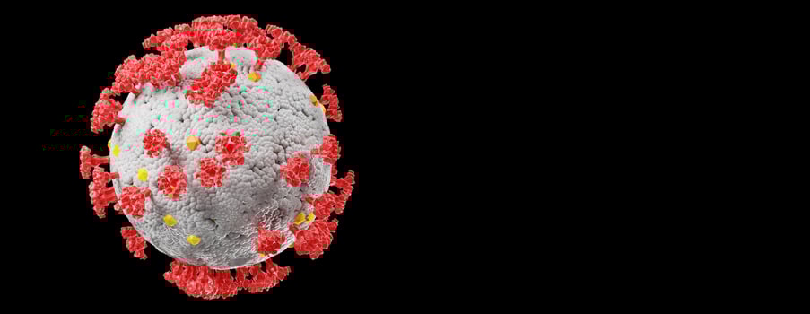 Detail of Corona Virus under the microscope. 3D illustration photo