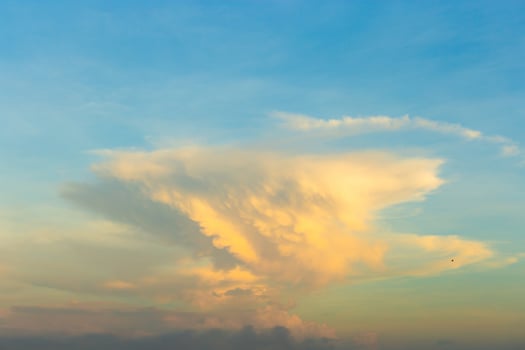 Beautiful big cloudy sky and silhouette bird evening time for background concept photo