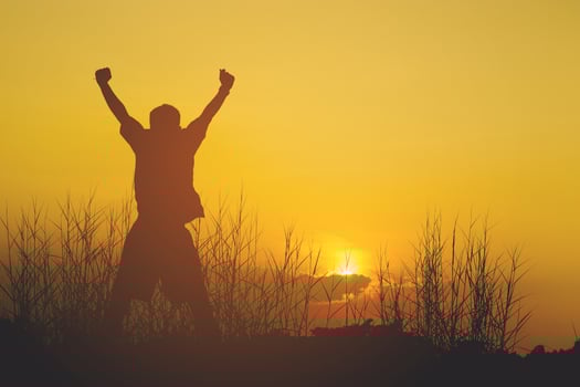 Silie's silhouettes show joy. And successful silhouette concepts photo