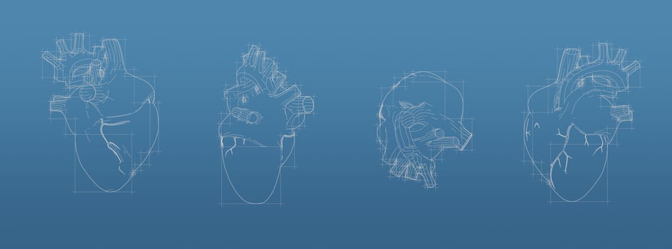 Heart 3d blueprint mesh model  on a blue background. Front view orthographic  and perspective free style render, 3d rendering photo