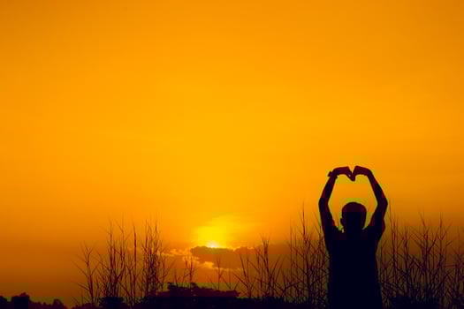 Silie's silhouettes show joy. And successful silhouette concepts photo