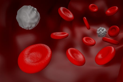 red blood and white blood  cell concept inside bloood tube graphic 3D rendering - Illustration photo