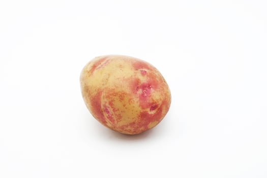 Potatoes isolated on white background photo