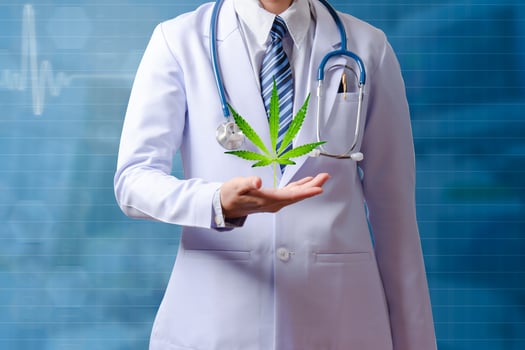 doctor holding hand with canabis photo