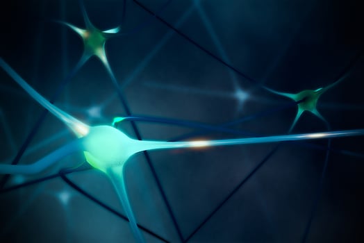 euron cells with connection of neuro transmission photo