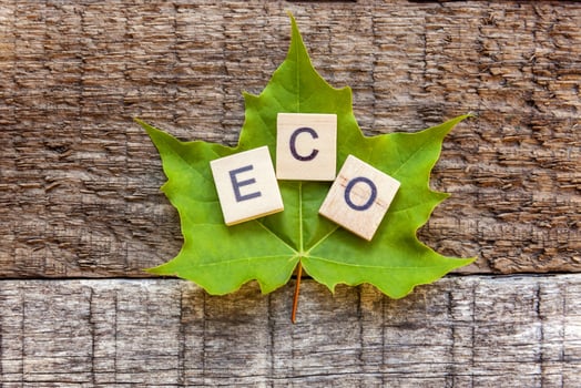 Inscription ECO letters word and maple leaf on old rustic wooden background photo