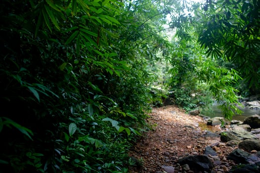 Natural waterfall, shoulder river, through the top of the mountain photo