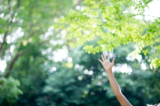 The clean white hands of the girl and the bokeh background photo