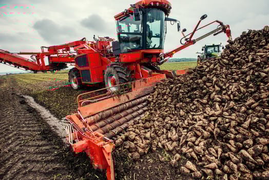Downloads harvest on the field. photo
