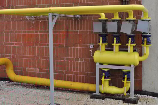 yellow plant pipes photo