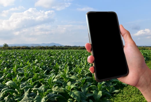 Smart mobile phone which has blank touchscreen holding in hand, concept for using smart mobile phone with online transactions. photo