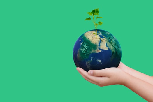 Hand hold plant on earth on white isolated background photo