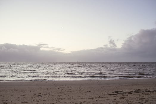 Seascape in the evening in the Netherlands photo