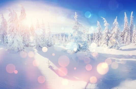 winter landscape trees snowbound, bokeh background with snowflak photo